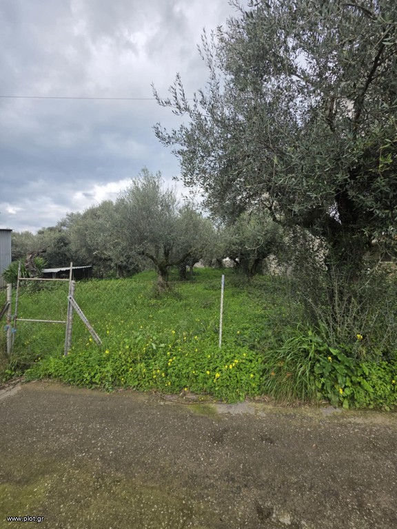 Οικόπεδο 427 τ.μ. για πώληση, Μεσσηνία, Θουρία