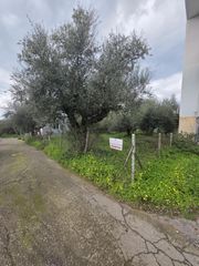 Οικόπεδο 427 τ.μ. για πώληση, Μεσσηνία, Θουρία-thumb-1