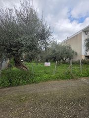 Οικόπεδο 427 τ.μ. για πώληση, Μεσσηνία, Θουρία-thumb-3