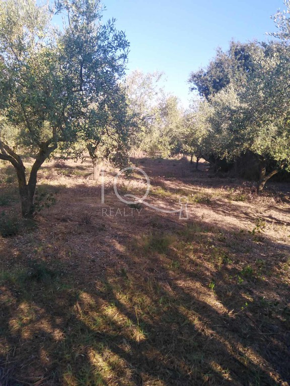 Μονοκατοικία 72 τ.μ. προς πώληση, Μεσσηνία, Γαργαλιάνοι