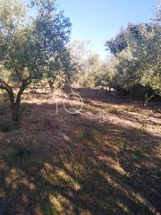 Μονοκατοικία 72 τ.μ. προς πώληση