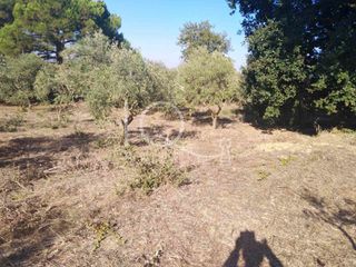 Μονοκατοικία 72 τ.μ. προς πώληση, Μεσσηνία, Γαργαλιάνοι-thumb-4