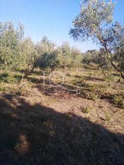 Μονοκατοικία 72 τ.μ. προς πώληση, Μεσσηνία, Γαργαλιάνοι-thumb-5