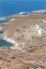 Αγροτεμάχια 4.650 τ.μ. για πώληση