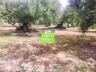 Οικόπεδο 1.000 τ.μ. για πώληση, Ν. Χανίων, Κολυμβάρι-thumb-21