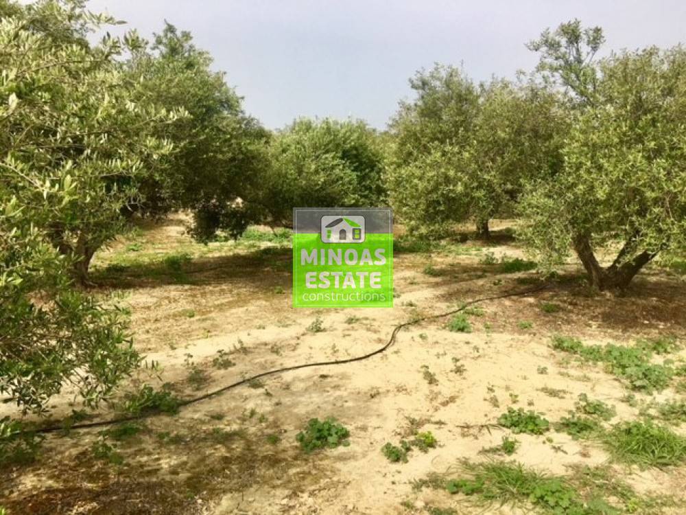 Οικόπεδο 1.000 τ.μ. προς πώληση, Βασιλόπουλο Κολυμβαρίου