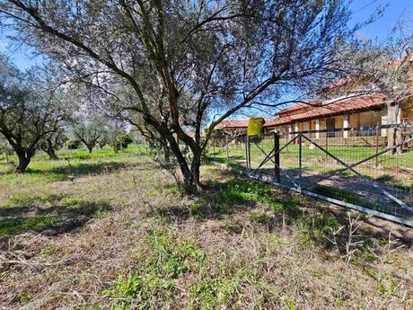 Οικόπεδο 1.665 τ.μ. για πώληση