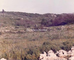 Οικόπεδο 67.700 τ.μ. για πώληση, Ν. Σάμου, Σάμος-thumb-1