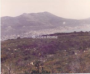 Οικόπεδο 67.700 τ.μ. για πώληση