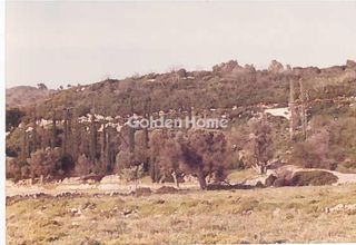 Οικόπεδο 67.700 τ.μ. για πώληση, Ν. Σάμου, Σάμος-thumb-3