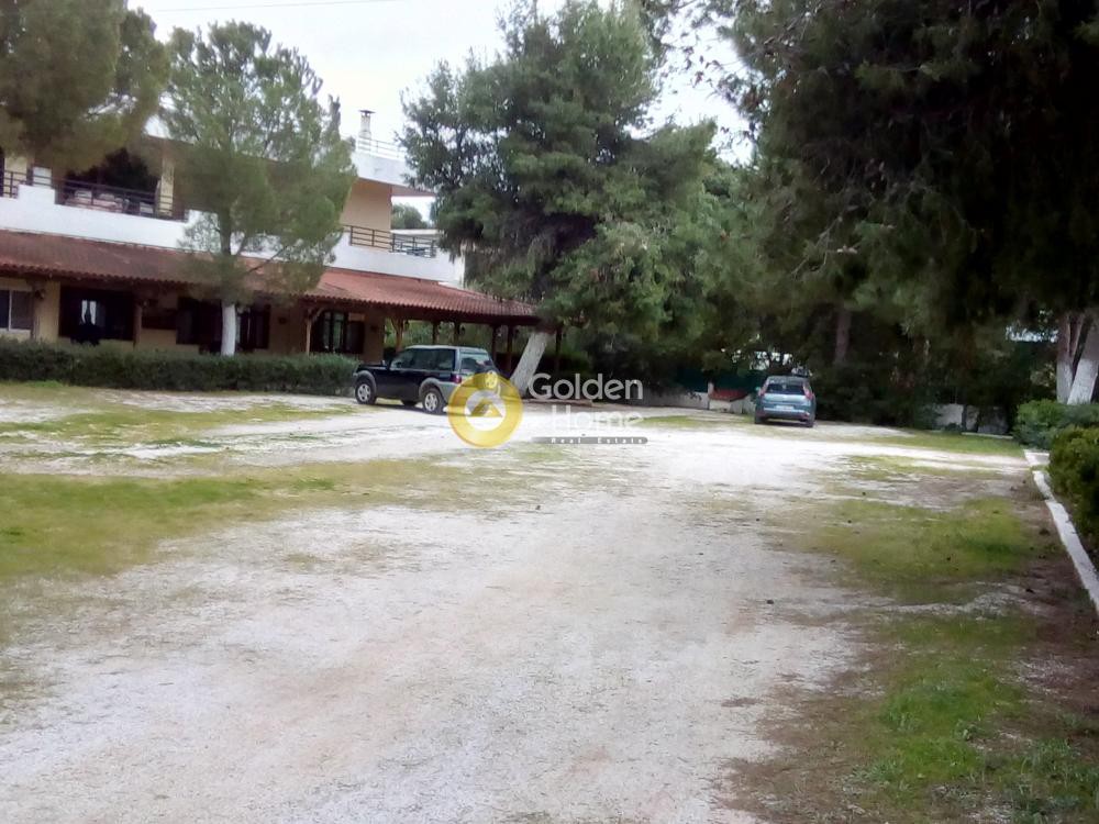 Κατάστημα 200 τ.μ. προς ενοικίαση, Κάντζα