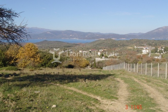 Οικόπεδο 3.650 τ.μ. για πώληση, Εύβοια, Αιδηψός