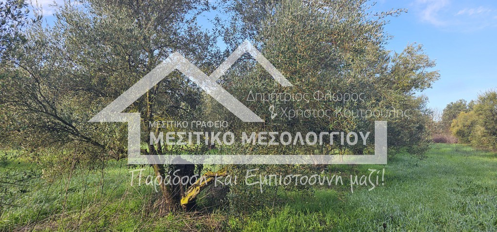 Αγροτεμάχια 6.905 τ.μ. προς πώληση, Αιτωλοακαρνανία, Αιτωλικό