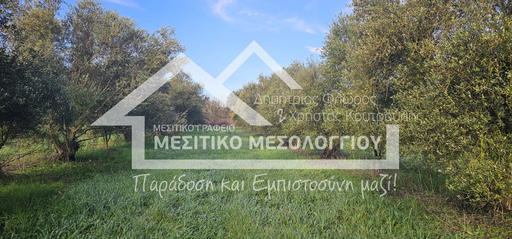 Αγροτεμάχια 6.905 τ.μ. προς πώληση, Αιτωλοακαρνανία, Αιτωλικό