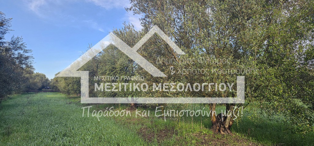 Αγροτεμάχια 6.905 τ.μ. προς πώληση, Αιτωλοακαρνανία, Αιτωλικό