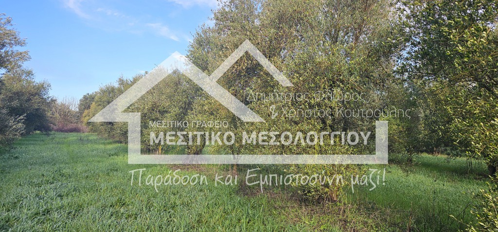 Αγροτεμάχια 6.905 τ.μ. προς πώληση, Αιτωλοακαρνανία, Αιτωλικό
