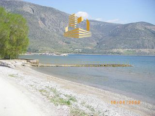 Οικόπεδο 1.353,41 τ.μ. για πώληση, Φωκίδα, Ιτέα-thumb-3