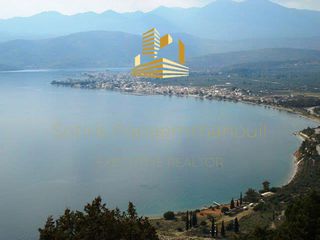 Οικόπεδο 1.353,41 τ.μ. για πώληση, Φωκίδα, Ιτέα-thumb-9