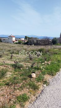 Οικόπεδο 5.000 τ.μ. προς πώληση
