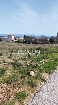 Land plot 5.000 sqm for sale, Athens - East, Artemida (loutsa)