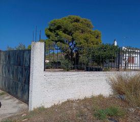 Οικόπεδο 1.560 τ.μ. για πώληση