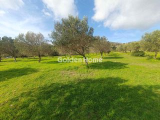 Αγροτεμάχια 5.460 τ.μ. για πώληση