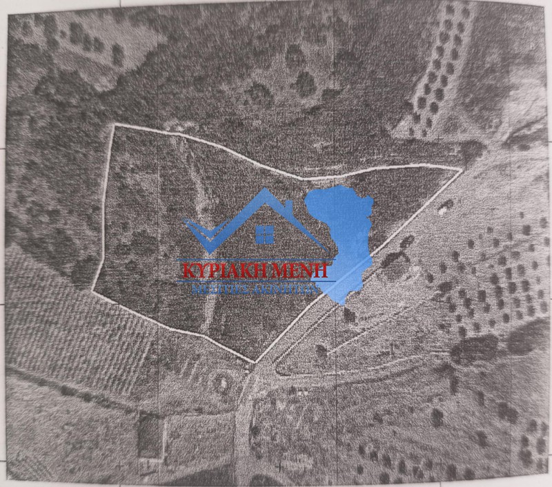 Οικόπεδο 4.714,39 τ.μ. προς πώληση, Αμάνη