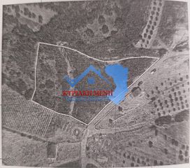 Οικόπεδο 4.714,39 τ.μ. για πώληση