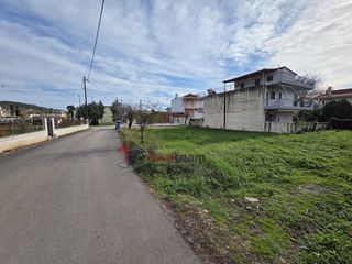 Οικόπεδο 316 τ.μ. για πώληση, Φθιώτιδας, Εχιναίων-thumb-4
