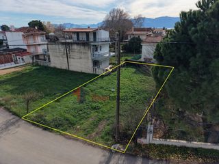 Οικόπεδο 316 τ.μ. για πώληση, Φθιώτιδας, Εχιναίων-thumb-6