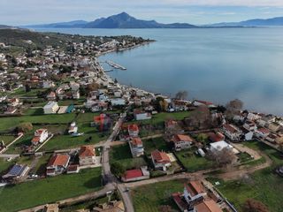 Οικόπεδο 316 τ.μ. για πώληση, Φθιώτιδας, Εχιναίων-thumb-11