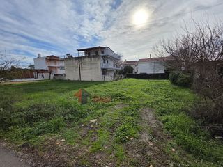 Οικόπεδο 316 τ.μ. για πώληση, Φθιώτιδας, Εχιναίων-thumb-13