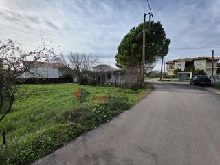 Οικόπεδο 316 τ.μ. για πώληση, Φθιώτιδας, Εχιναίων-thumb-5