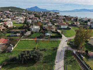 Οικόπεδο 435 τ.μ. για πώληση, Φθιώτιδας, Εχιναίων-thumb-3