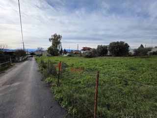 Οικόπεδο 435 τ.μ. για πώληση, Φθιώτιδας, Εχιναίων-thumb-17