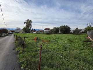 Οικόπεδο 435 τ.μ. για πώληση, Φθιώτιδας, Εχιναίων-thumb-11