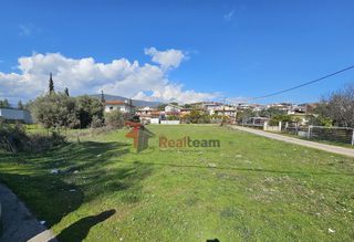 Οικόπεδο 435 τ.μ. για πώληση, Φθιώτιδας, Εχιναίων-thumb-9