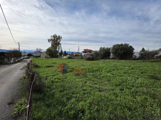 Οικόπεδο 435 τ.μ. για πώληση, Φθιώτιδας, Εχιναίων-thumb-15