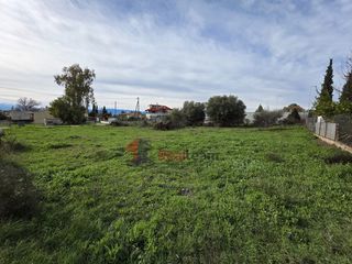 Οικόπεδο 435 τ.μ. για πώληση, Φθιώτιδας, Εχιναίων-thumb-12