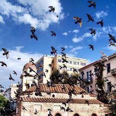 Κατάστημα 345,44 τ.μ. για πώληση