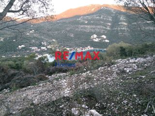 Οικόπεδο 4.103 τ.μ. για πώληση, Ν. Λευκάδας, Λευκάδα-thumb-4