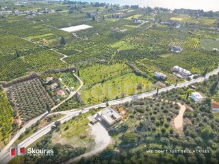 Αγροτεμάχια 6.710 τ.μ. προς πώληση, Τολό-thumb-19