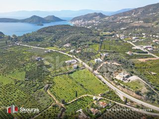 Αγροτεμάχια 6.710 τ.μ. προς πώληση, Τολό-thumb-7