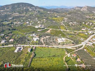 Αγροτεμάχια 6.710 τ.μ. προς πώληση, Τολό-thumb-9