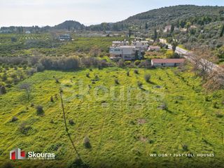 Αγροτεμάχια 6.710 τ.μ. προς πώληση, Τολό-thumb-17