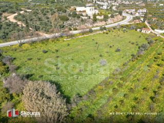 Αγροτεμάχια 6.710 τ.μ. προς πώληση, Τολό-thumb-24