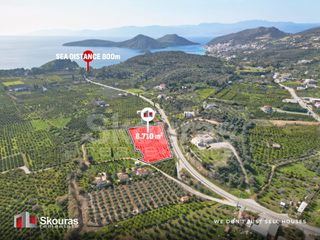 Αγροτεμάχια 6.710 τ.μ. για πώληση