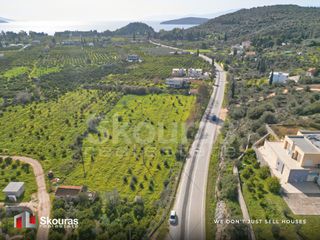 Αγροτεμάχια 6.710 τ.μ. προς πώληση, Τολό-thumb-23