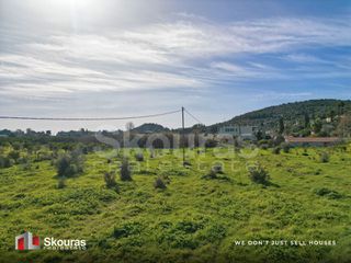 Αγροτεμάχια 6.710 τ.μ. προς πώληση, Τολό-thumb-15