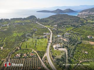 Αγροτεμάχια 6.710 τ.μ. προς πώληση, Τολό-thumb-8